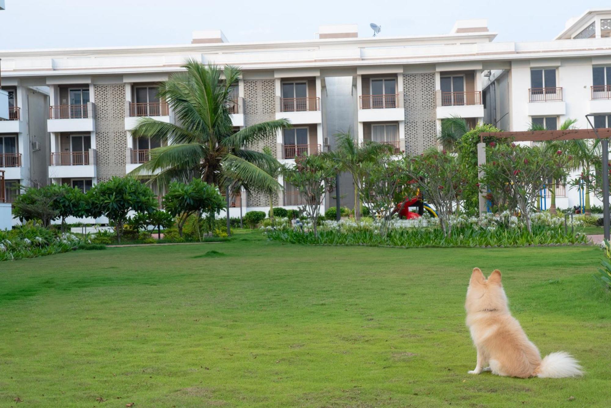 Palm Regal Resort Gopālpur Exterior photo