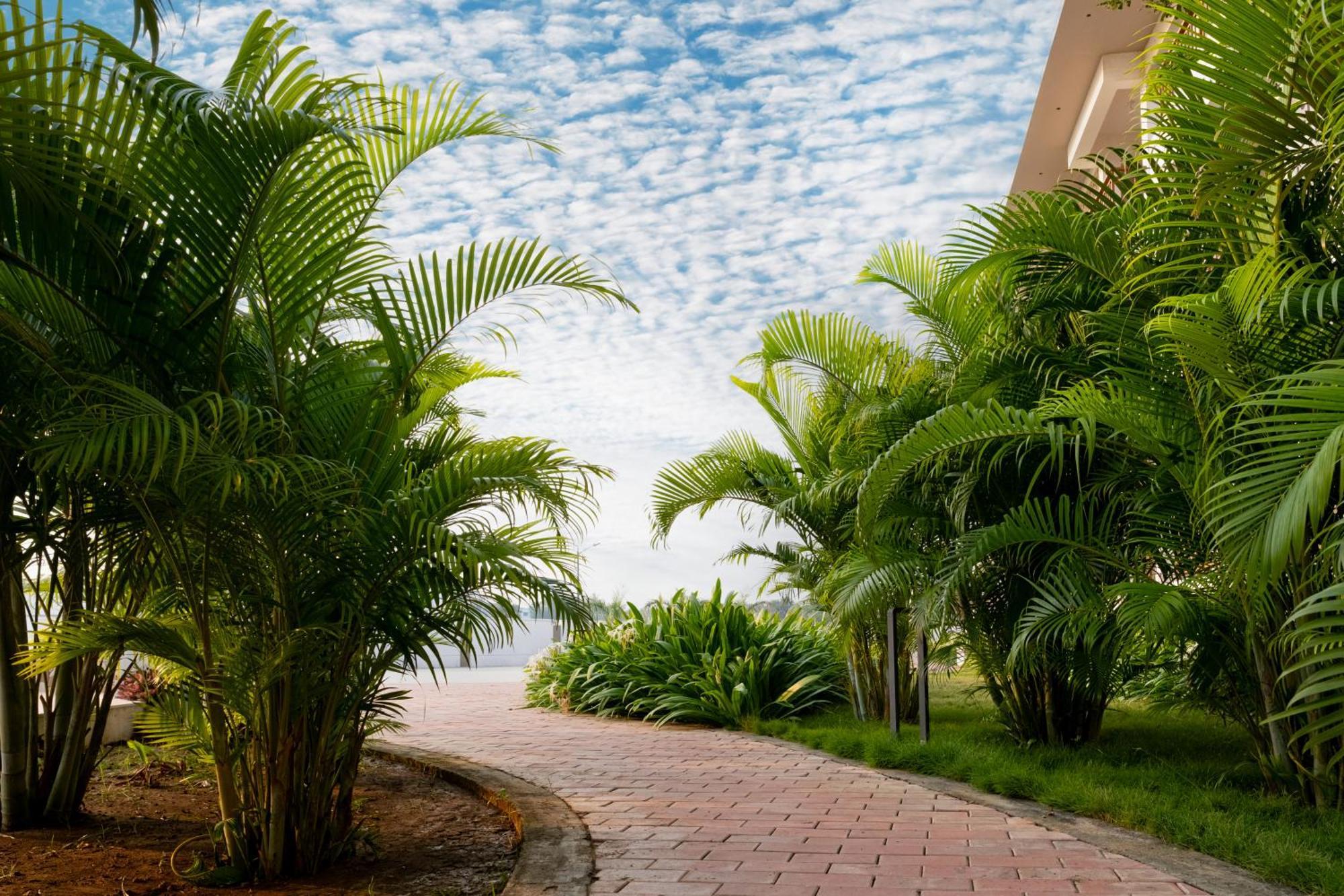 Palm Regal Resort Gopālpur Exterior photo
